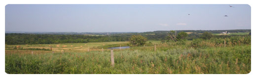 Town of Minden Panorama